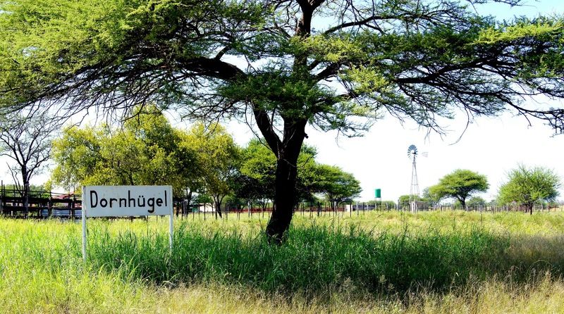 Dornhuegel Guestfarm Hotel Grootfontein Buitenkant foto