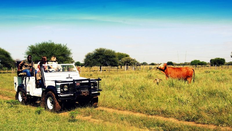 Dornhuegel Guestfarm Hotel Grootfontein Buitenkant foto